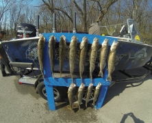 blue-dolphin-walleye-charters-4262013-2