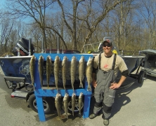 blue-dolphin-walleye-charters-4262013-4