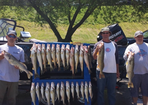 blue-dolphin-walleye-customer-2015-11