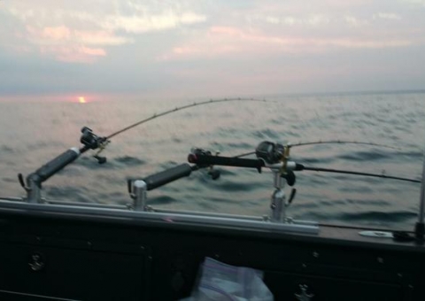 blue-dolphin-walleye-customer-2015-2