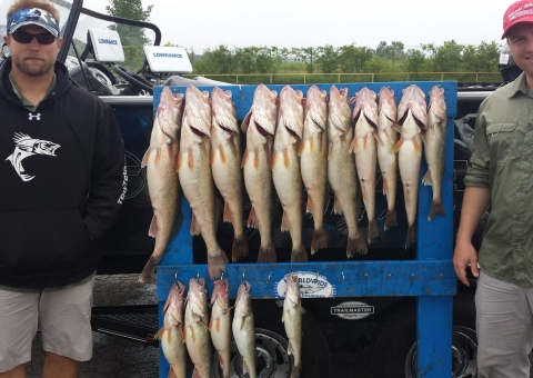 blue-dolphin-walleye-customer-2015-31
