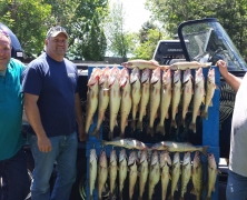 blue-dolphin-walleye-customer-2015-33