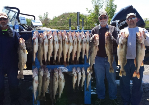 blue-dolphin-walleye-customer-2015-41