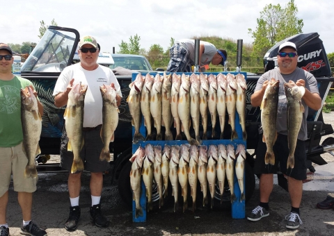 blue-dolphin-walleye-customer-2015-46