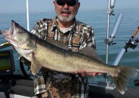 blue-dolphin-walleye-customer-2015-57