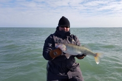 blue-dolphin-walleye-charter-customer-11