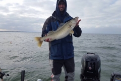 blue-dolphin-walleye-charter-customer-12