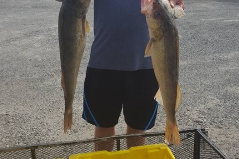 blue-dolphin-walleye-charter-customer-30
