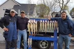 blue-dolphin-walleye-charter-customer-46