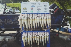 blue-dolphin-walleye-charter-customer-71