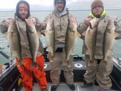 Blue Dolphin Walleye Charter Services