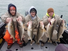 Blue Dolphin Walleye Charter Services