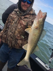 Blue Dolphin Walleye Charter Services