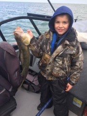 Blue Dolphin Walleye Charter Services