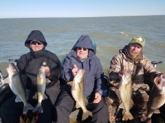 Blue Dolphin Walleye Charter Services