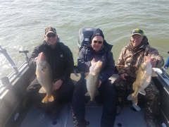 Blue Dolphin Walleye Charter Services