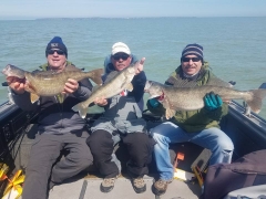 Blue Dolphin Walleye Charter Services