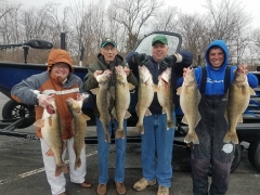 Blue Dolphin Walleye Charter Services