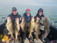 Blue Dolphin Walleye Charter Services