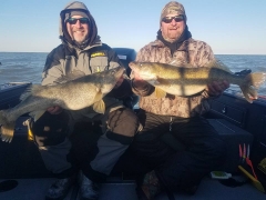 Blue Dolphin Walleye Charter Services