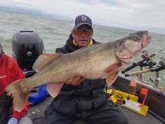 Blue Dolphin Walleye Charters - May 2017