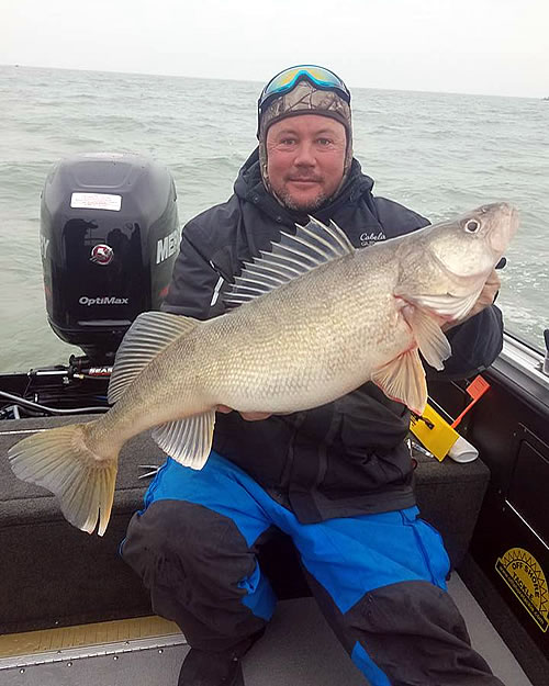 Blue Dolphin Walleye - Lake Erie Fishing Charters