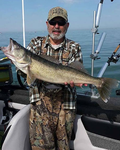 Blue Dolphin Walleye - Lake Erie Charters