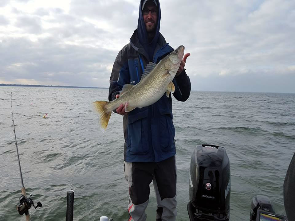 Lake Erie Walleye Fishing - Blue Dolphin Charters