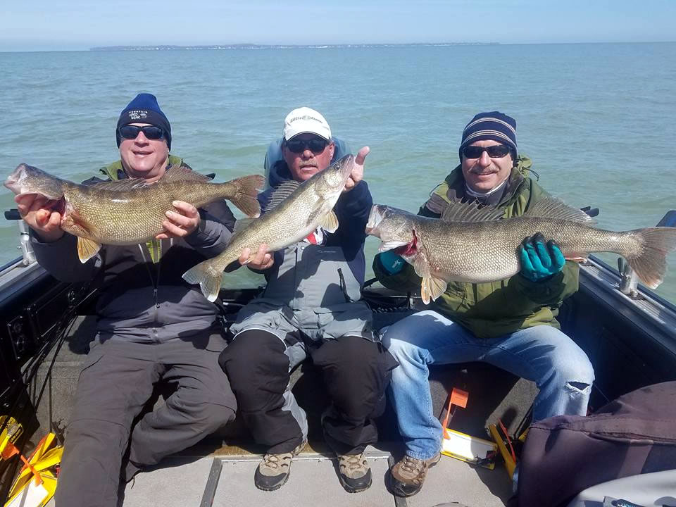 Lake Erie Walleye Fishing - Blue Dolphin Charters