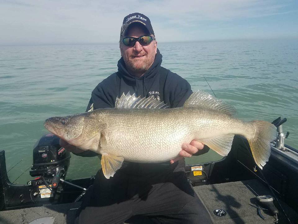 Lake Erie Walleye Fishing - Blue Dolphin Charters