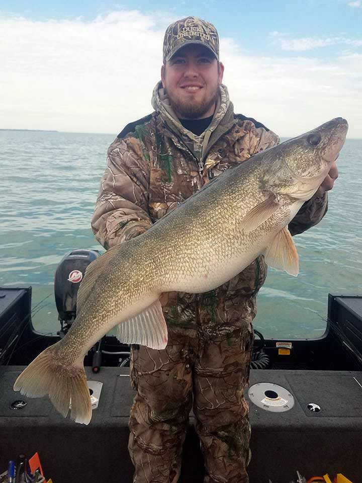 Lake Erie Walleye Fishing - Blue Dolphin Charters