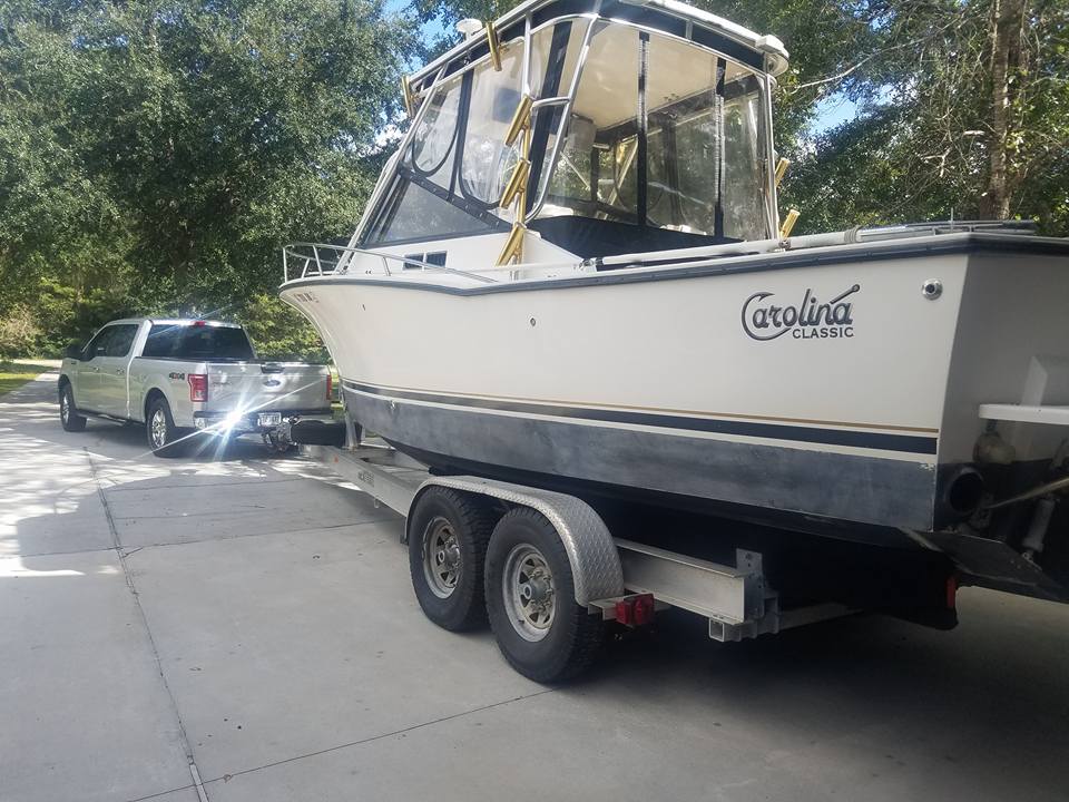 Carolina Classic - Blue Dolphin Walleye Fishing Charters