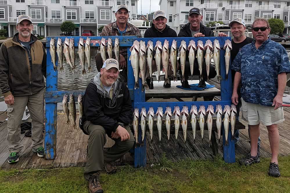 ?Run bandits 40' to 100' back. Jet 40 with Michigan stinger spoons 25' to 60' back. Dipseys 30', 40' and 50' back on settings 3,2 and 1. Worm harnesses 2-ounce and 3-ounce 60' back at about 1.5. Use your Lowrance electronics to find them and let her rip. It's about as much fun as you can have catching. Good luck and see ya next week! Captain Gary Zart Blue Dolphin Charters 216-849-4954