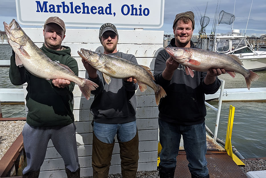 Lake Erie Walleye Fishing Reports - May 2020
