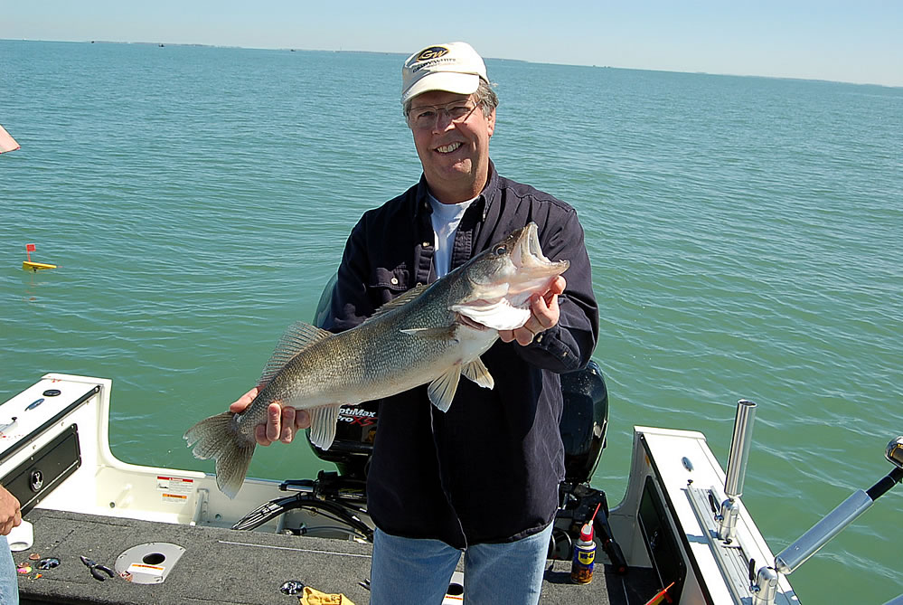 Blue Dolphin Walleye - Lake Erie Charters