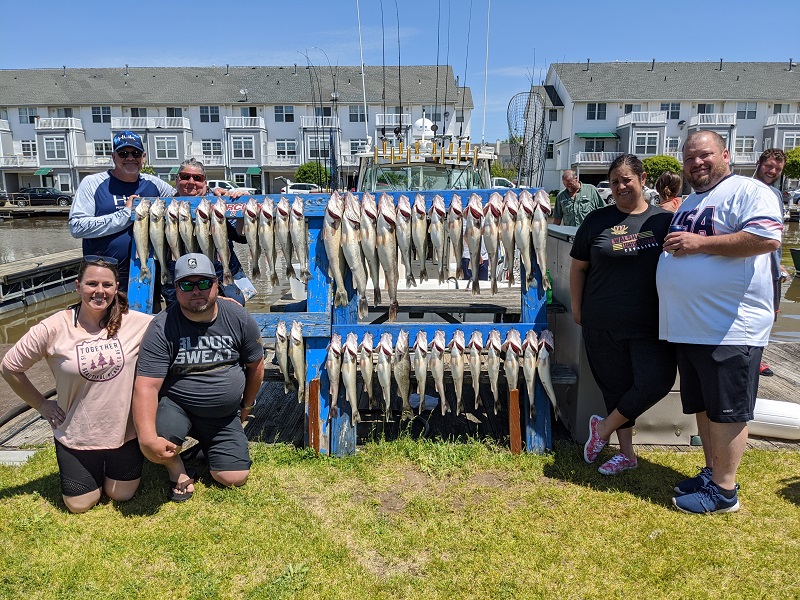 Read more about the article Lake Erie Walleye Fishing Report 5.26.20