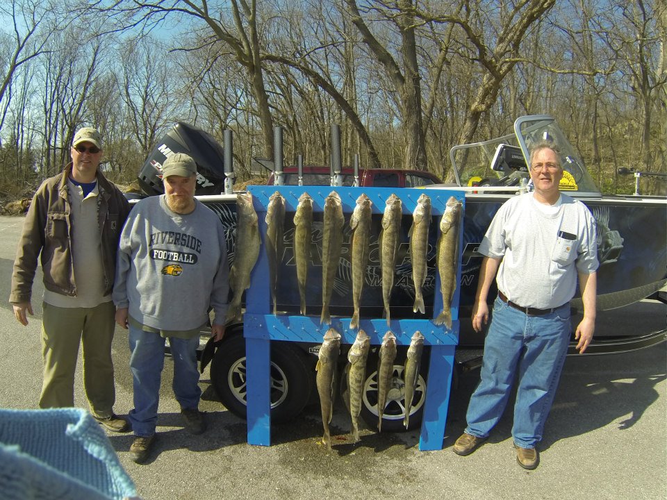 Blue Dolphin Walleye - Lake Erie Charters