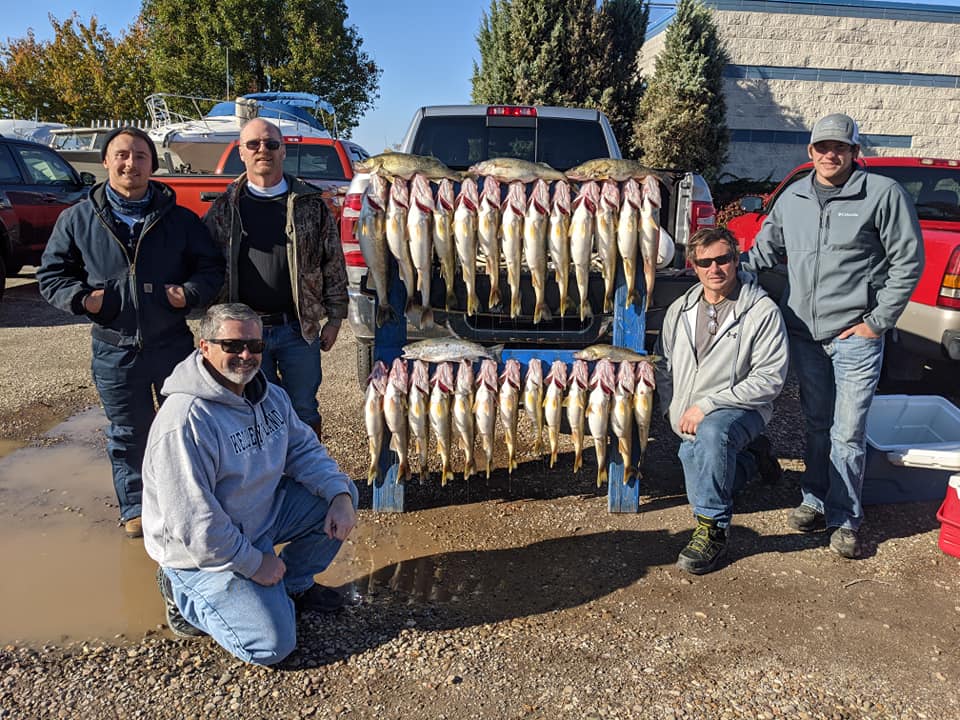 Read more about the article Lake Erie Walleye Fishing Report 11.2.20