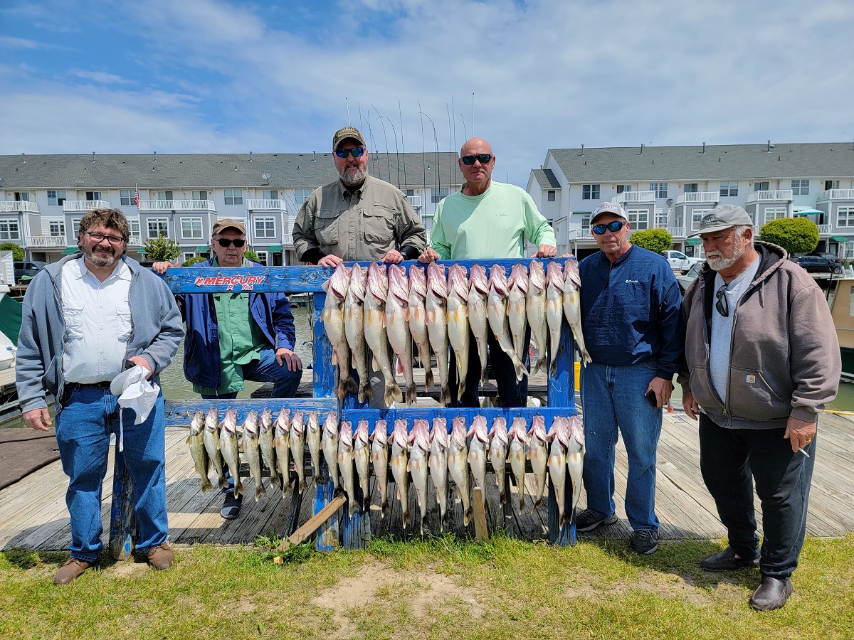 Read more about the article Lake Erie Walleye Fishing Report
