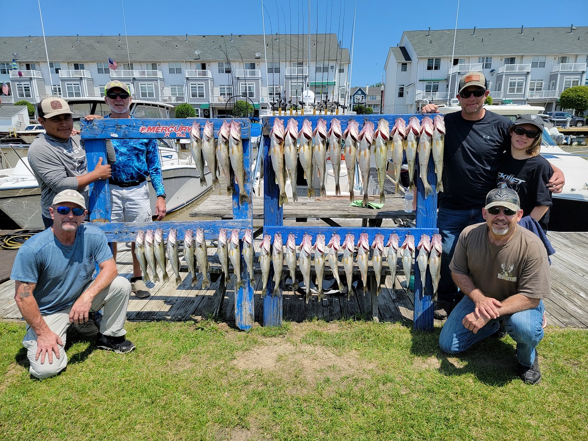 Read more about the article Lake Erie Walleye Fishing Report 7.18.21
