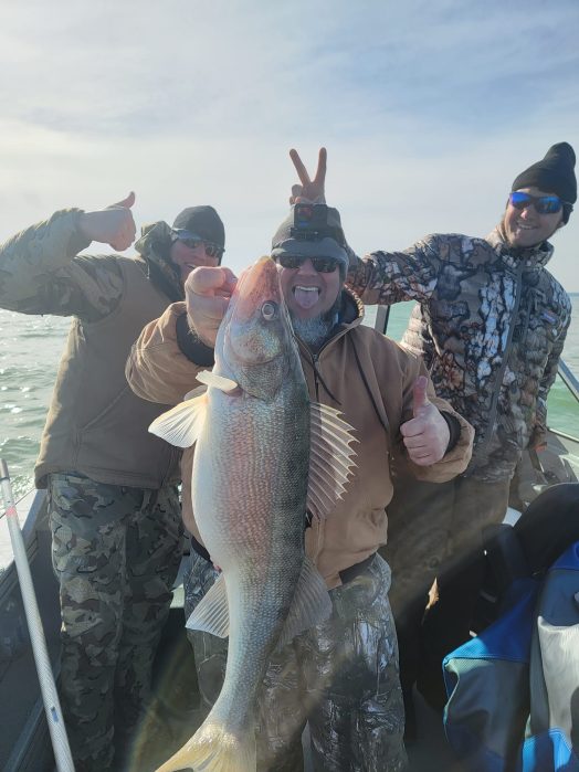 Lake Erie Walleye Fishing Fleet - Blue Dolphin Walleye Charters