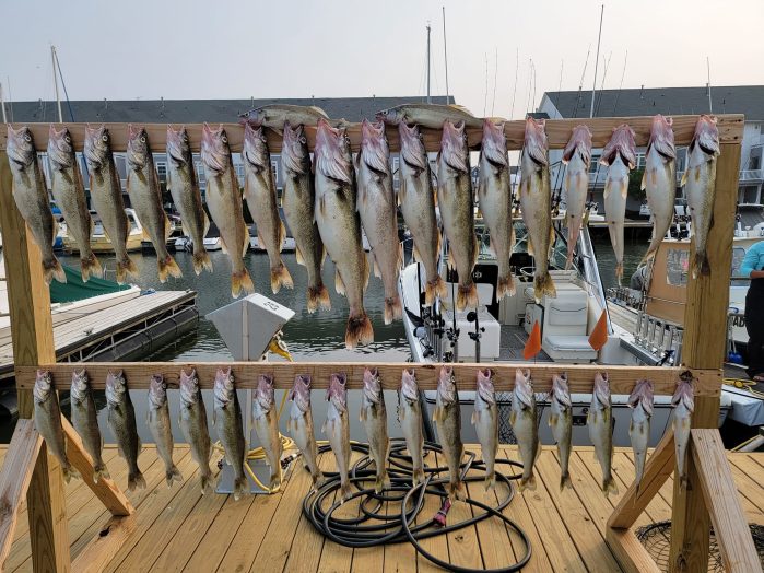 Lake Erie Walleye Fishing Report