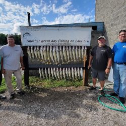 August 26, 2023 - Blue Dolphin Walleye