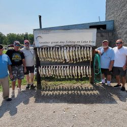 August 27, 2023 - Blue Dolphin Walleye