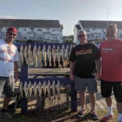 Lake Erie Walleye Charter - August 2019