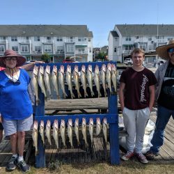 Lake Erie Walleye Charter - August 2019