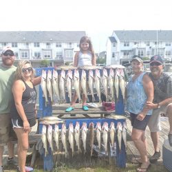 Lake Erie Walleye Charter - August 2019