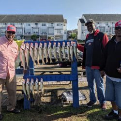 Lake Erie Walleye Charter - August 2019