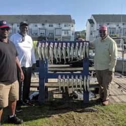 Lake Erie Walleye Charter - August 2019