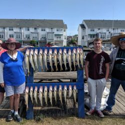 Lake Erie Walleye Charter - August 2019